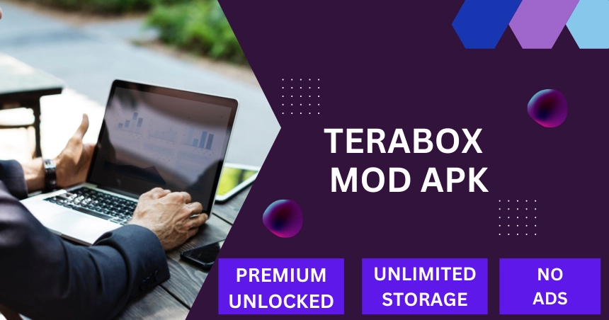 Preview of TeraBox MOD APK (2025)