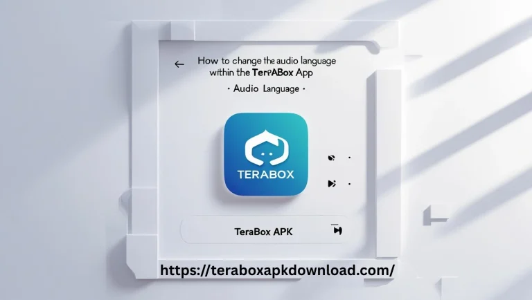 How to Change Audio Language in TeraBox